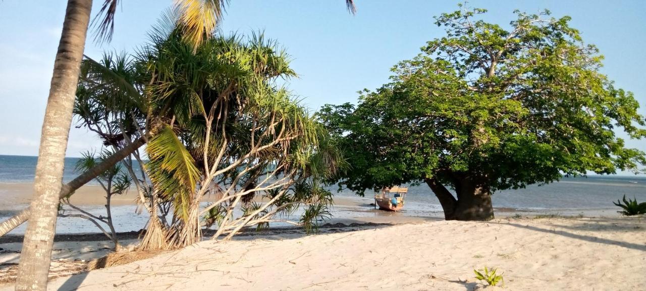 Funky Squids Beach Resort Bagamoyo Eksteriør bilde